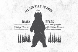 Bear Facts
