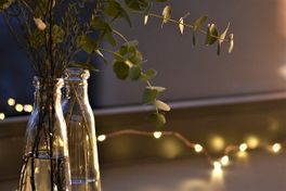Native Foliage Livens Your Rustic Look