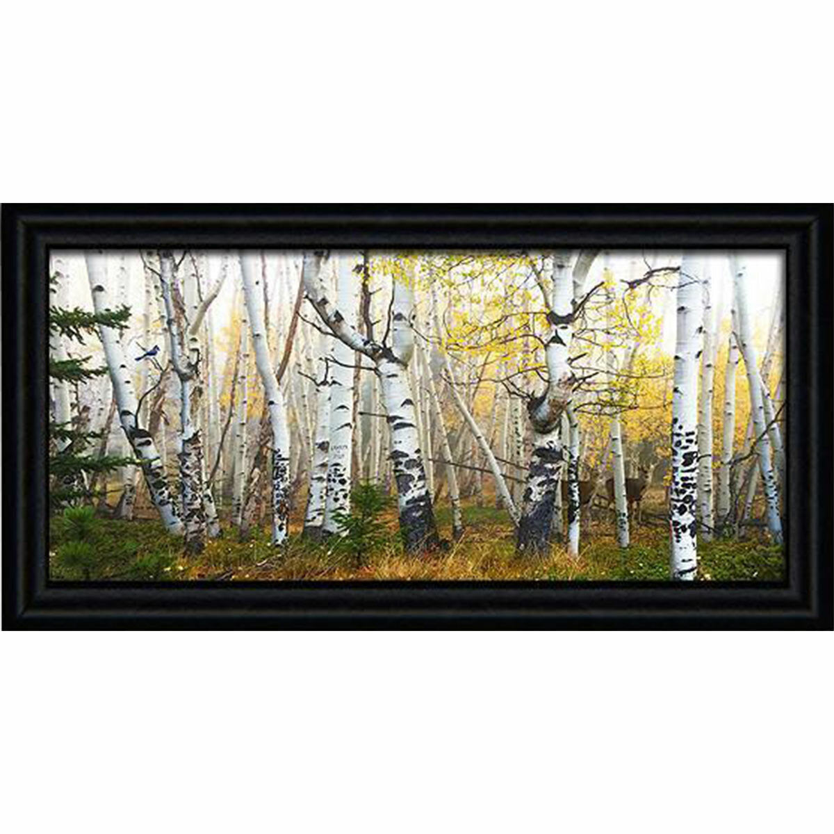 Morning Birch Grove Personalized Wall Art