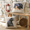 Daydreaming Bear Outdoor Pillow
