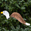 Dancing Outdoor Eagle