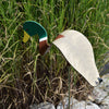 Dancing Outdoor Mallard