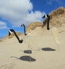 Dancing Outdoor Canadian Goose