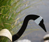 Dancing Outdoor Canadian Goose