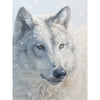 The Alpha Limited Edition Print