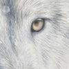 The Alpha Limited Edition Print