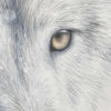 The Alpha Limited Edition Print