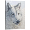 The Alpha Limited Edition Print