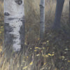Emperor of the Woods II Limited Edition Print