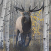Emperor of the Woods II Limited Edition Print