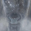 Giants in the Mist IV Limited Edition Print