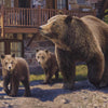 Glacier National Park Limited Edition Print