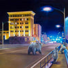 Griz Country Limited Edition Print