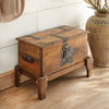 Forged Canyon Trunk Coffee Table