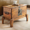 Forged Canyon Trunk Coffee Table