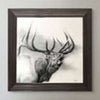 Misty Call Framed Canvas