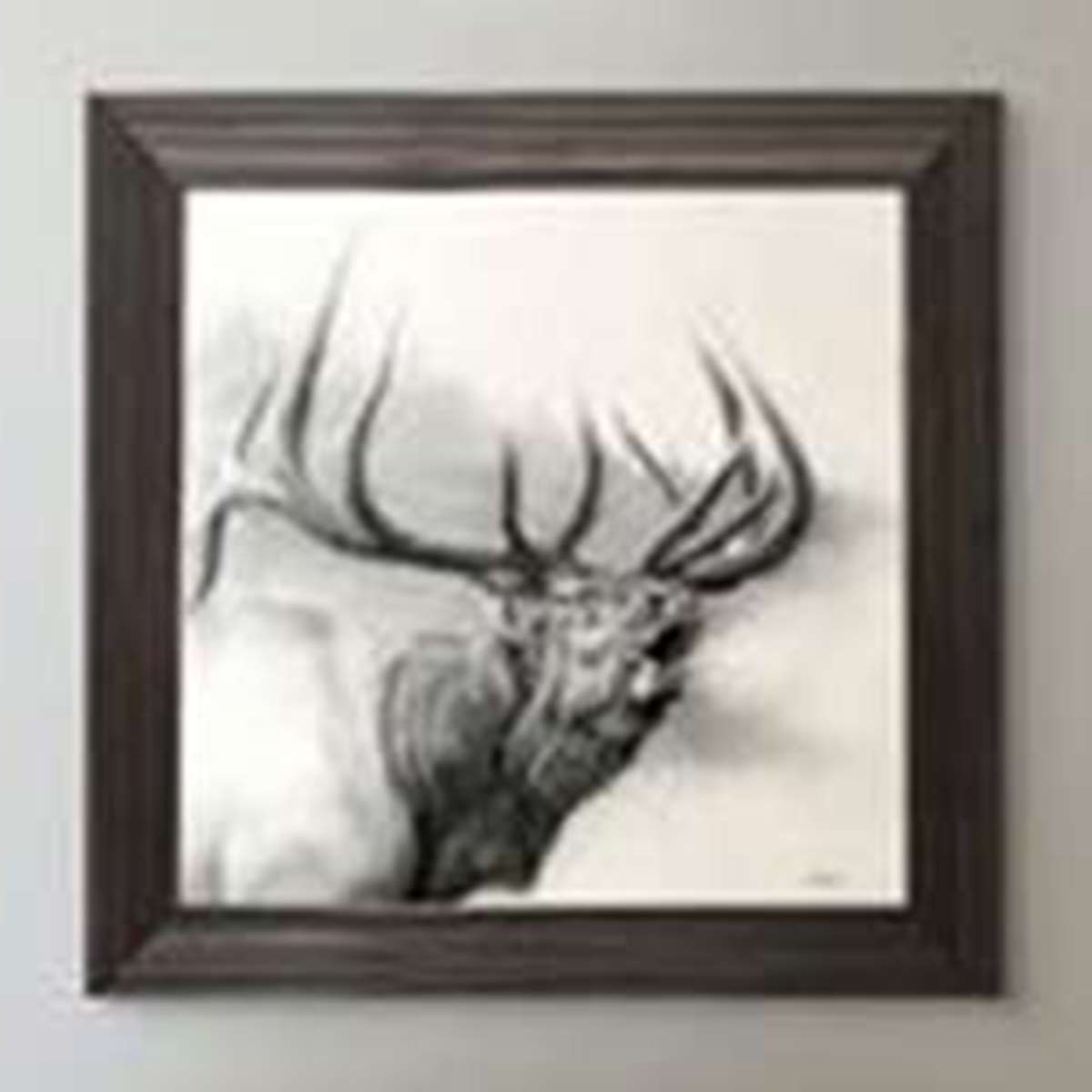 Misty Call Framed Canvas