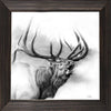 Misty Call Framed Canvas
