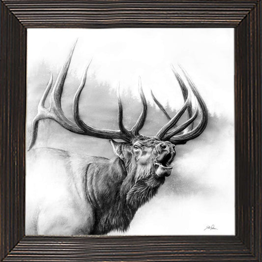Misty Call Framed Canvas