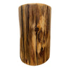 Timberline Cedar Stump