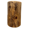 Timberline Cedar Stump