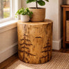 Ridgefire Pine Stump