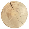 Ridgefire Pine Stump