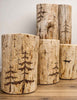 Ridgefire Pine Stump