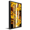 Sunny Aspens Personalized Framed Canvas