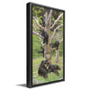 Bear Family Tree Personalized Framed Print