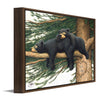 Loving Bears Personalized Float Framed Canvas - Small