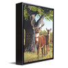 Whitetail Couple Personalized Framed Canvas - Large