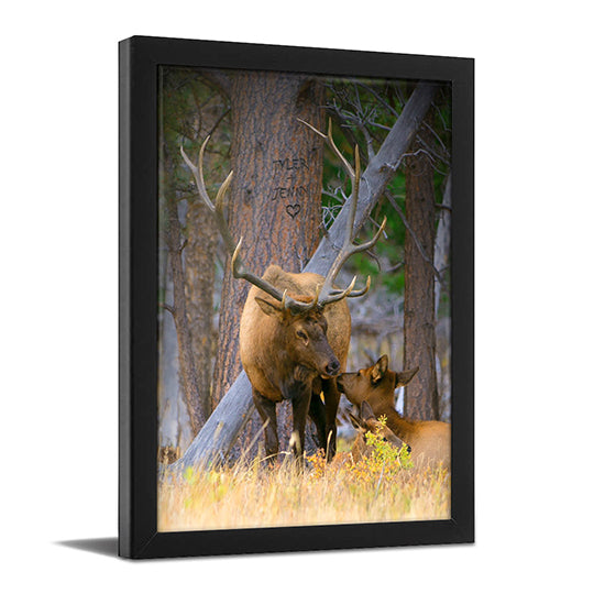 Woodland Sweethearts Personalized Wall Art
