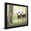 Personalized Whitetail Deer Framed Print - Spring