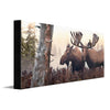 Yukon Moose Personalized Stretched Canvas