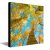 Aspen Sky Personalized Stretched Canvases