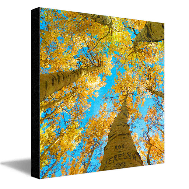 Aspen Sky Personalized Stretched Canvases