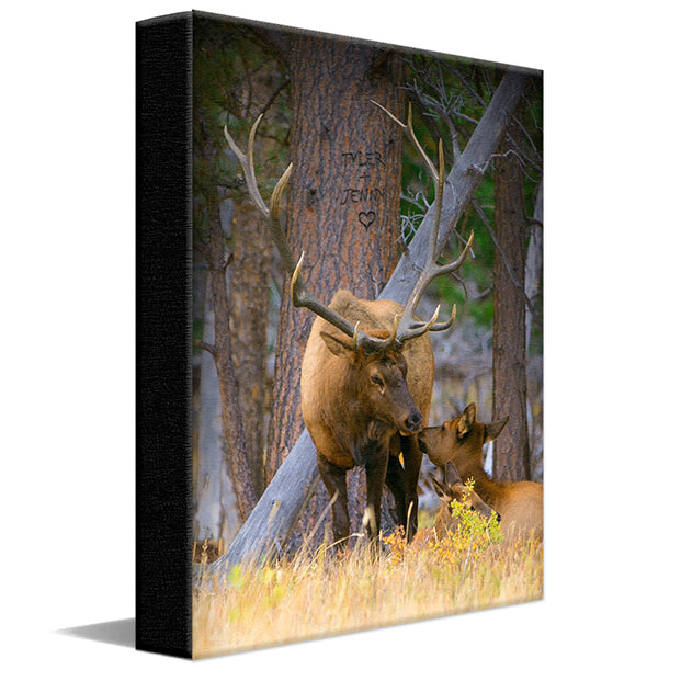Woodland Sweethearts Personalized Wall Art