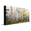 Morning Birch Grove Personalized Stretched Canvas