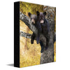 Bear Cub Love Personalized Stretched Canvas - Medium