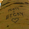 Aspen Sky Personalized Stretched Canvas - Large