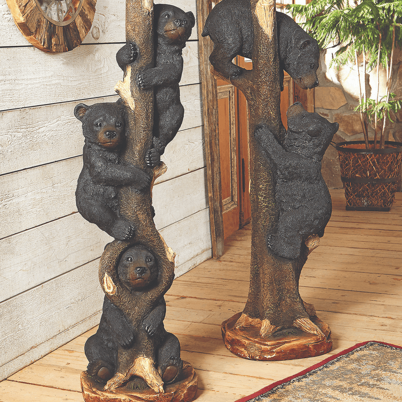 collection featured image