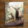 Hillside Elk Couple Personalized Wall Art