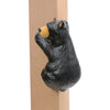 Righty Climbing Black Bear