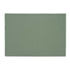 Forest Fern Placemats - Set of 6