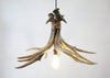Woodland Mule Deer 3 Antler Pendant