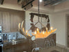 Forest Moose Antler Chandelier