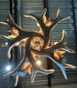 Forest Mule Deer 8 Light Chandelier