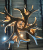 Forest Mule Deer 8 Light Chandelier