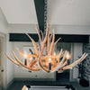 Forest Mule Deer 8 Light Chandelier